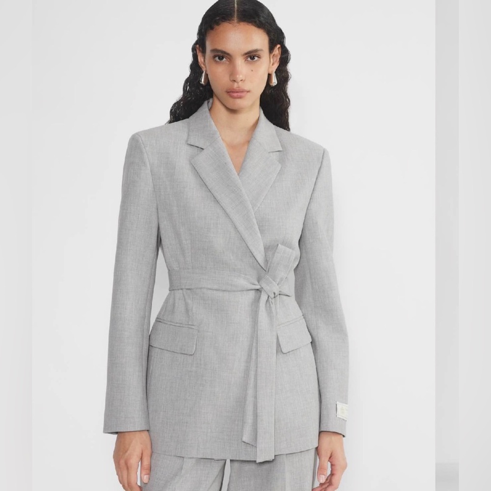 Aritzia Babaton Innovate Blazer